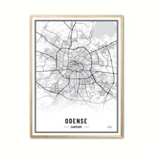 Plakat med Odense - Plakat 50 x 70 cm (B2)