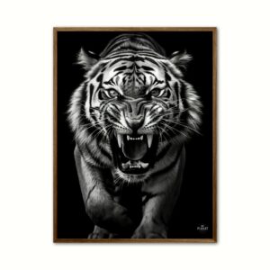 Tiger plakat 3 - Wild Life 30 x 40 cm