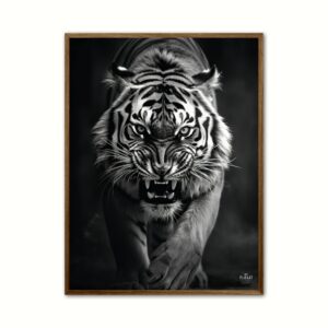 Tiger plakat 4 - Wild Life 50 x 70 cm (B2)